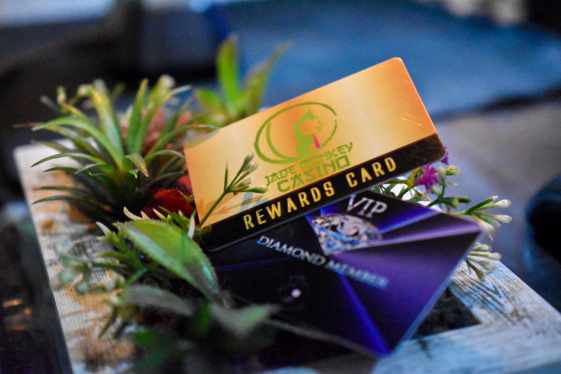 Membership is free on your first visit.